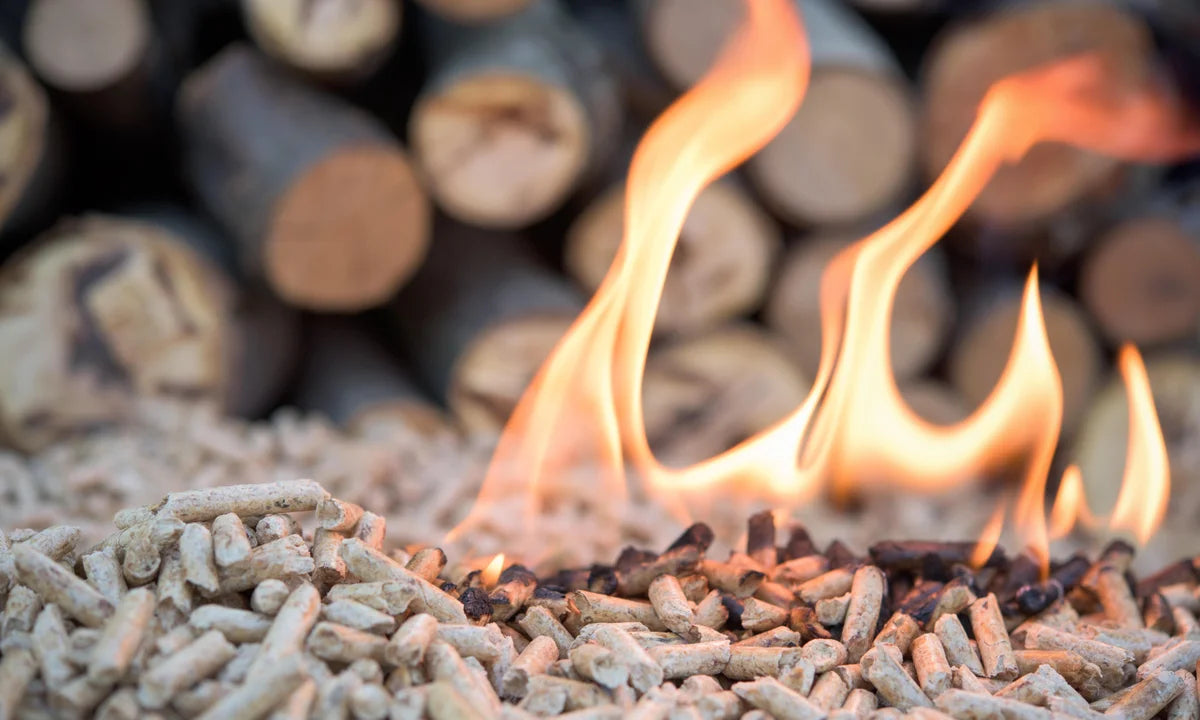 Importance of Fire Starters