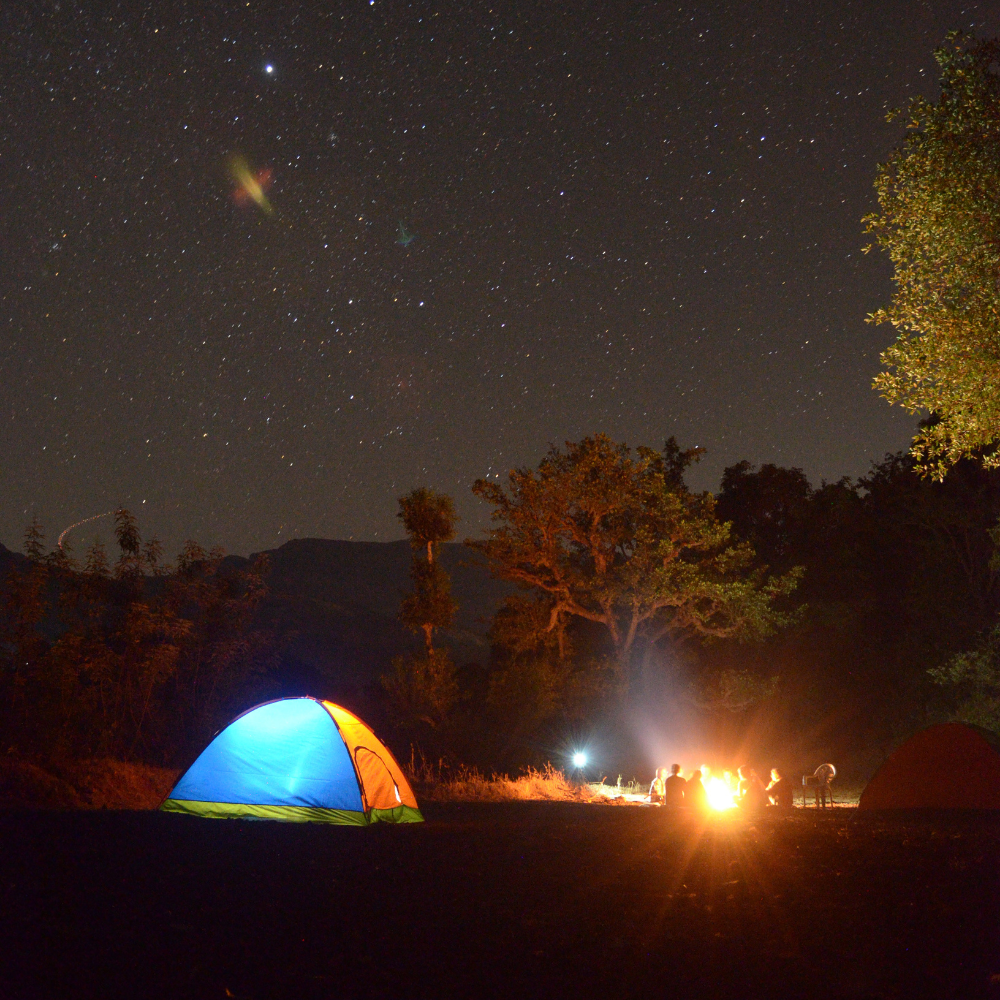 Backyard Camping Ideas with KOZY: Fun Activities for Family and Friends