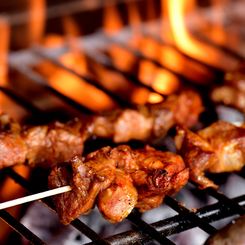 Outdoor Cooking with KOZY: Tips and Recipes